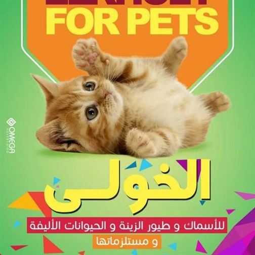 الخولي لاسماك الزينه 