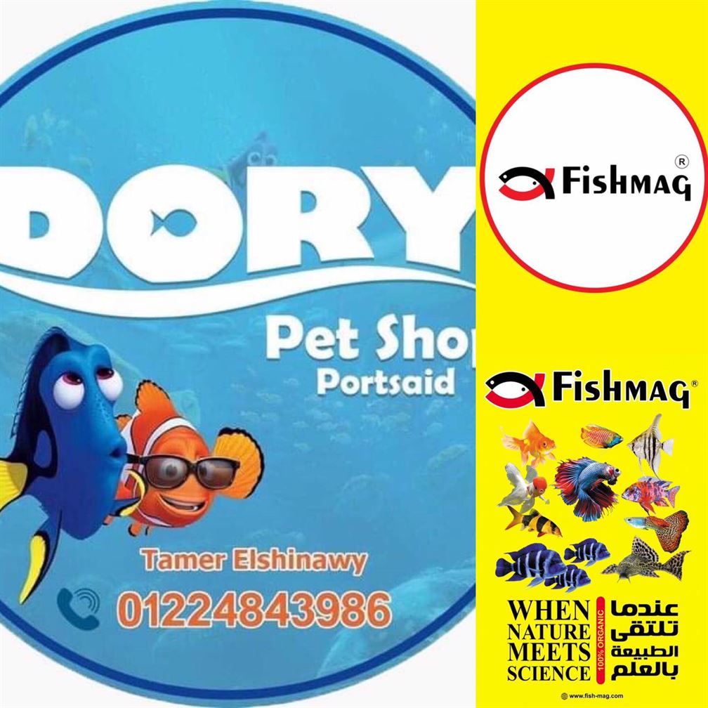 دوري بت شوب 